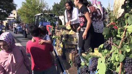 Ürgüp'te '48. Uluslararası Bağ Bozumu Festivali'- NEVŞEHİR