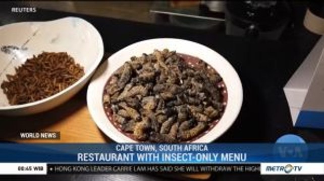 Restaurant in Cape Town Serves Insect - Only Menu
