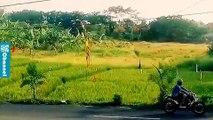 Bali Vlog | Travelling Diary [Vlog Music] (Music Video)