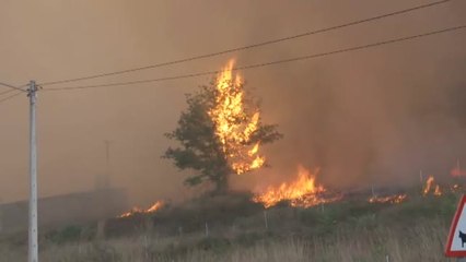 El mayor incendio del verano en Galicia se extiende por varias parroquias de Monforte