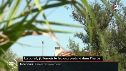 Incendies : dans la tête des pyromanes