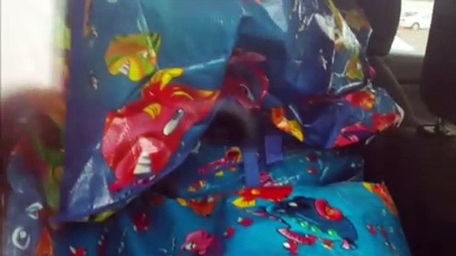 PRF apreende veículos carregados com produtos de descaminho na BR-277