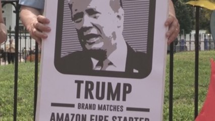 Ecologistas de EEUU acusan a Trump y Bolsonaro de "iniciar fuego" en Amazonía