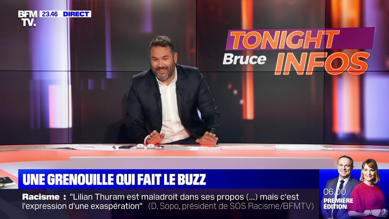 Une grenouille qui fait le buzz