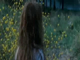 Animaux - look through my eyes