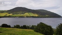 Scientist using DNA may have discovered the legendary Loch Ness Monster, but thinks it's giant EELS