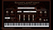 SamplerFont SoundFont Player VST VST3 64 bit for Windows and Audio Unit for Mac. Sampler for SoundFont files in .sf2 format (2.04 compliant)