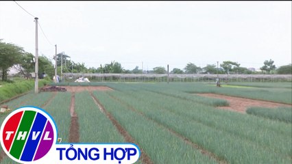 THVL | "Phạt nguội" trong lĩnh vực nông nghiệp để sản xuất được an toàn hơn