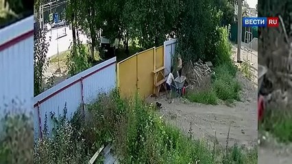 Petits voleurs de brouette vs Portail