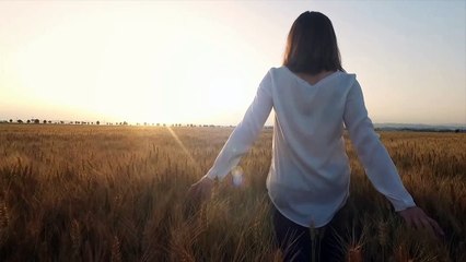 kitelife - Chasing The Dream