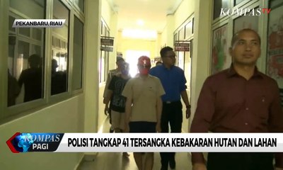 Polisi Tangkap 41 Tersangka Kebakaran Hutan dan Lahan