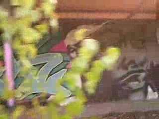 video fresque graffiti troyes