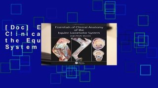 [Doc] Essentials of Clinical Anatomy of the Equine Locomotor System