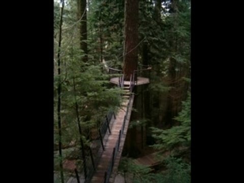 Bridge over troubled water