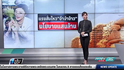 "จำนำข้าว" สู่ 2 คดี ยิ่งลักษณ์ – บุญทรง และจัดระเบียบประชานิยม - เข้มข่าวค่ำ