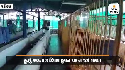 વડોદરામાં કૂતરું કરડતા જાગૃત નાગરિકનો મ્યુનિ. કમિશનર સામે વળતરનો દાવો