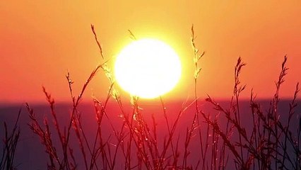 21 - KATY PERRY - I WANNA SEE YOUR PEACOK - REMIX