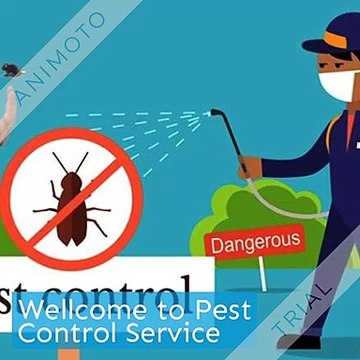 How to get Best home pest Control Service In Usa