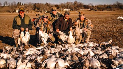Missouri Snow Goose Hunting