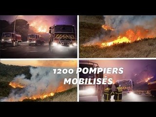 Télécharger la video: Des incendies ont dévasté des centaines d’hectares dans plusieurs départements français