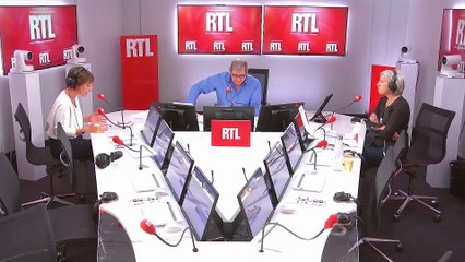 Chine : un chat décédé 7 mois plus tôt, cloné pour consoler son propriétaire