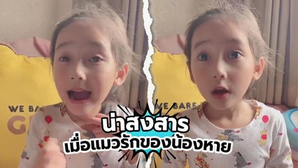 เอ็นดู.. หนูน้อยตามหาแมวรัก หลังหายไปไม่กลับบ้าน