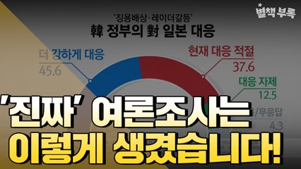 [별책부록] '진짜' 여론조사는 이렇게 생겼습니다!  / YTN