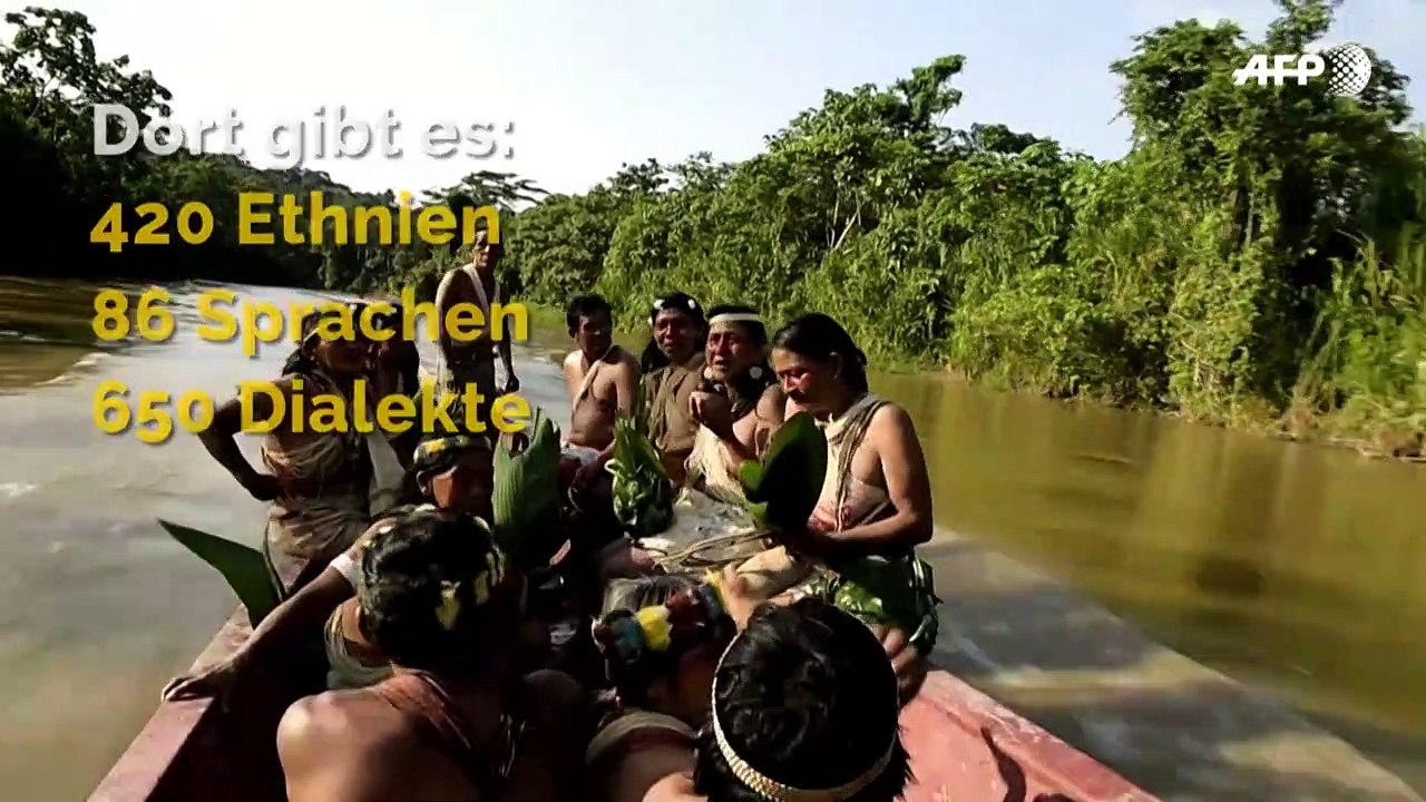 Amazonas: Wissenswertes über die "grüne Lunge" der Erde