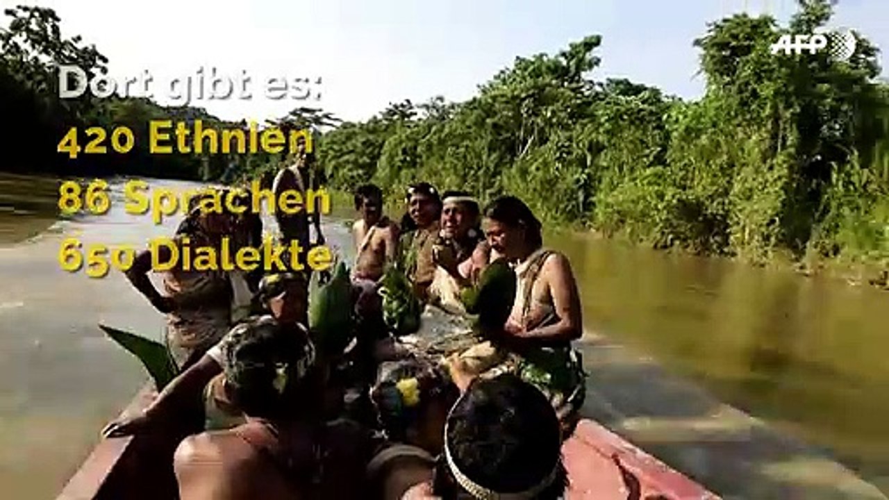 Amazonas: Wissenswertes über die 'grüne Lunge' der Erde