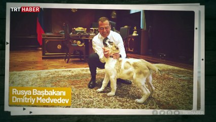 Dünya liderlerinin sevimli dostları