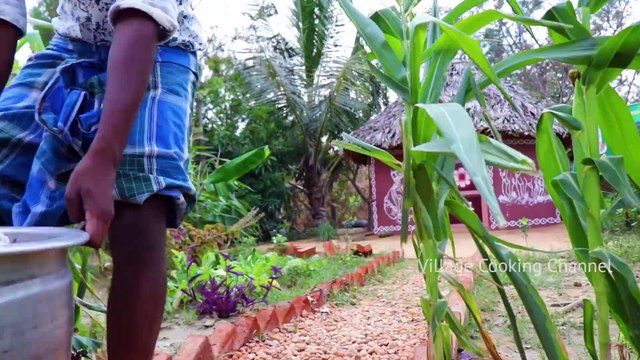 WOW! 1000 Crabs Cooking - King of Grilled Crabs Village Food Recipe - Primitive Village Cooking