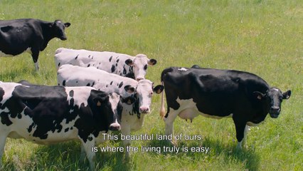 Serial Bad Weddings 2 / Qu'est-ce qu'on a (encore) fait au bon Dieu ? (2019) - Trailer (English Subs)