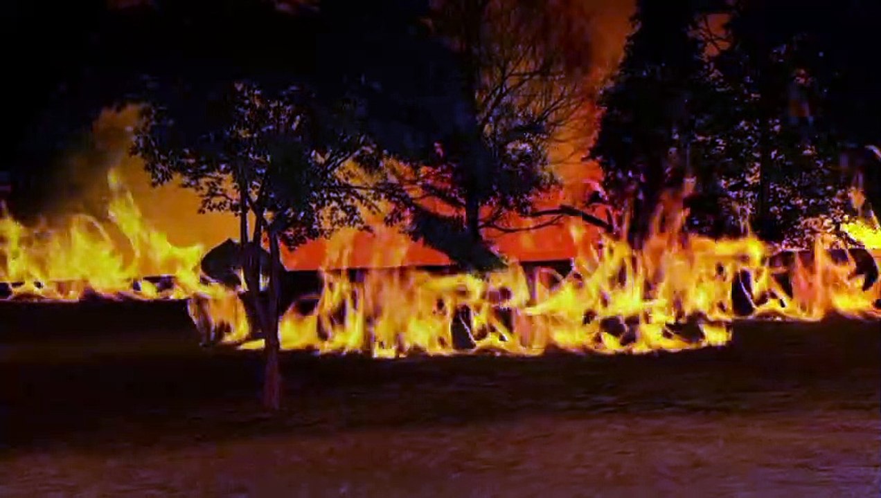 So entstehen Waldbrände