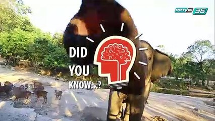 Did you Know - ดอกเกลือ ก็คือผลิตภัณฑ์จากเกลือนั่นเอง แล้วมันคืออะไร ได้มาอย่างไร