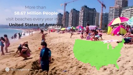 Norvergence - Marine Animals Are Dying and It’s our Fault