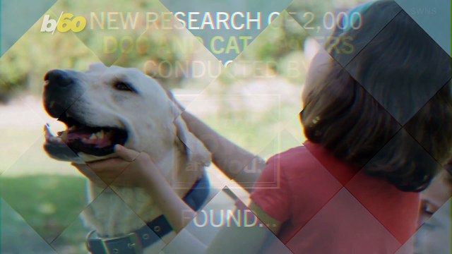 You’d Be Surprised by How Many People Like Their Pet More Than Their Kids