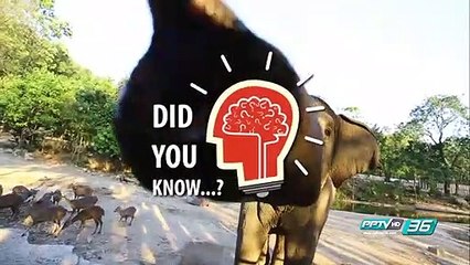 Did you Know - วิทยาศาสตร์อธิบายสิ่งที่เรียกว่า วิญญาณ ว่าอย่างไร