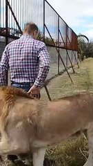 Most dangers animal !!!!! Friendship with animal