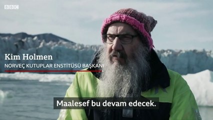 İklim Krizi: Kuzey Kutbu'nda deniz buzu yüzde 12 hızla eriyor