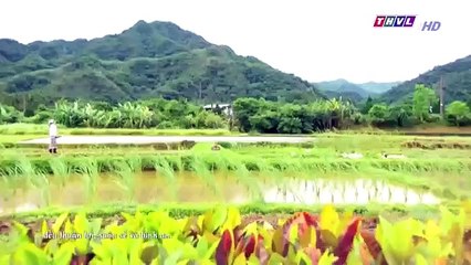 Đại Thời Đại Tập 161 - đại thời đại tập 162 - Phim Đài Loan - THVL1 Lồng Tiếng - Phim Dai Thoi Dai Tap 161