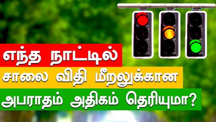 Watch Video : Which country have higher amount of penalty for traffic violation