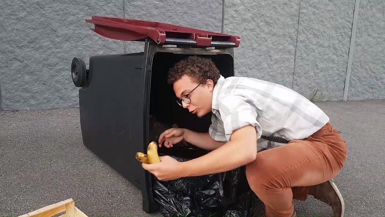 Gaspillage alimentaire