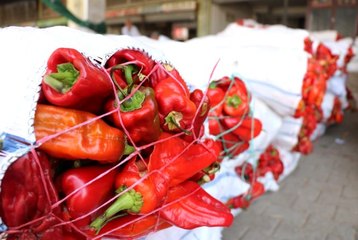 İsotun acısı cep yakıyor