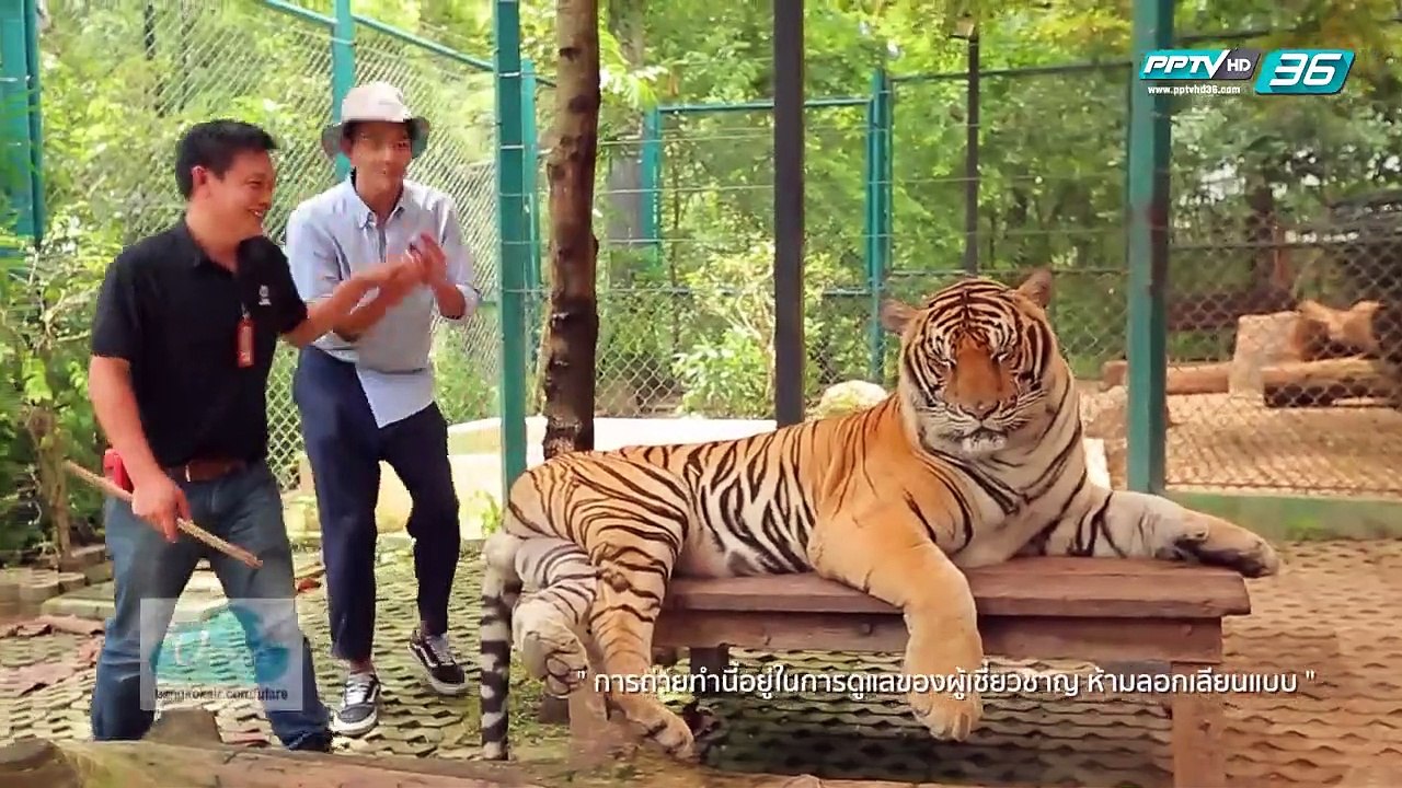 เที่ยวต้องมันส์  VS เที่ยวต้องปั้น - U RACE เที่ยวต้องเท่ (3/3)