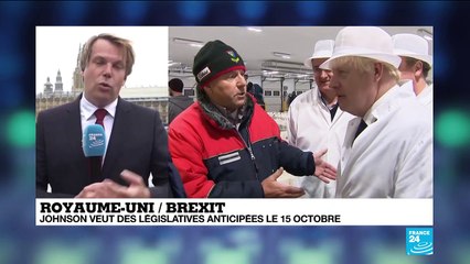 Brexit : Quelles sont les options pour Boris Johnson ?
