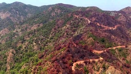 Muğla'da yanan ormanlık alan havadan görüntülendi