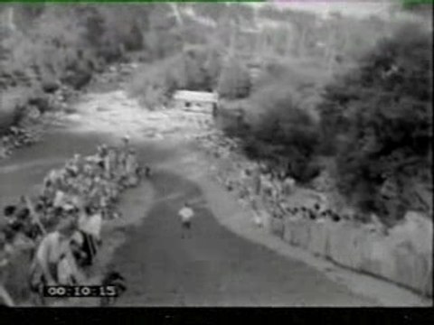 Ski sur aiguilles de pins à Arcachon