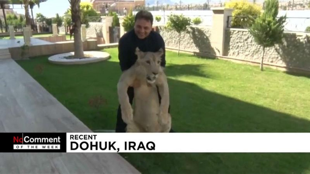 Tierschutz in Kolumbien und im Irak, Insektengerichte in Südafrika