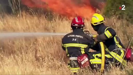 Incendie : des centaines de pompiers luttent contre les flammes
