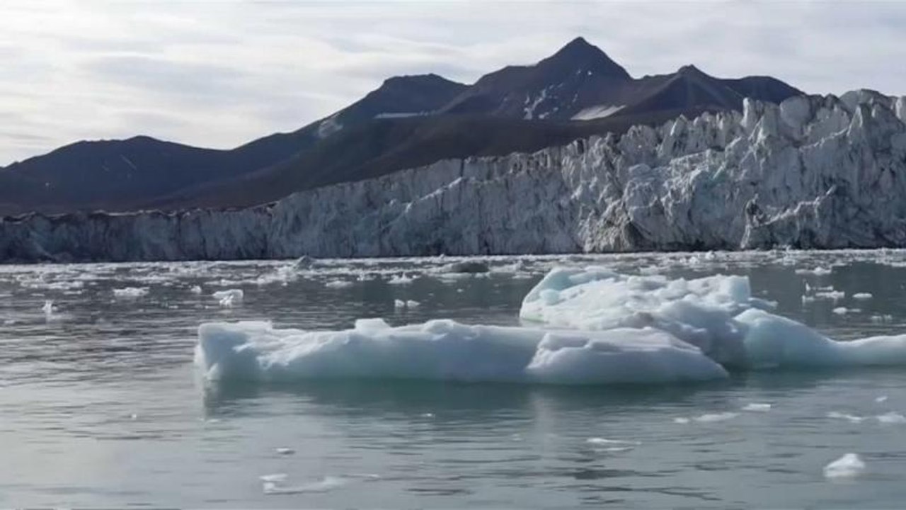 Rekordhitze im August 2019: 'Wir verlieren die Arktis'